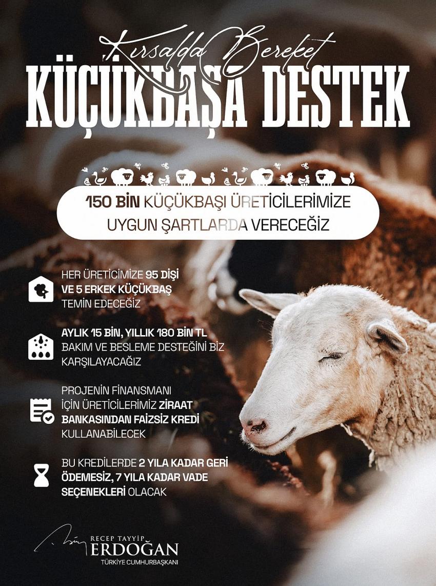 Çiftçiye Destek Ödemeleri Mart’ta Başlıyor Küçükbaş Hayvancılığa Faizsiz Yeni Destekler Verilecek