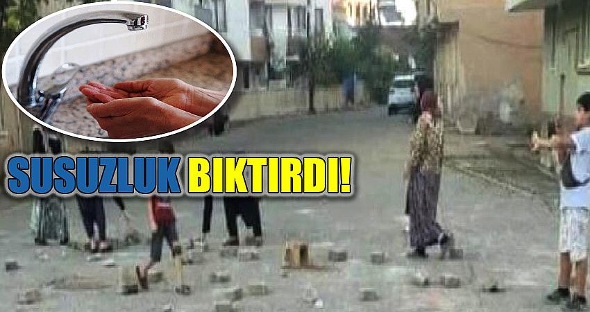SUSUZLUK BIKTIRDI!