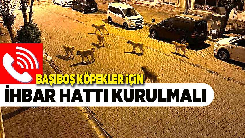 Kategori Haberleri