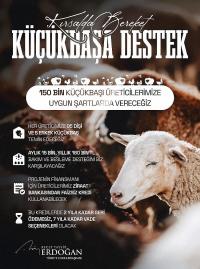 Çiftçiye Destek Ödemeleri Mart’ta Başlıyor Küçükbaş Hayvancılığa Faizsiz Yeni Destekler Verilecek