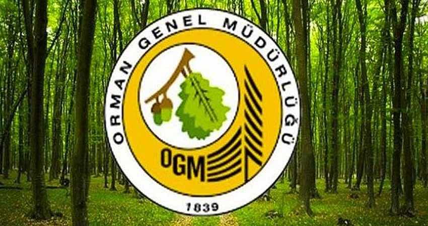 ORMAN İŞÇİSİ ALINACAK