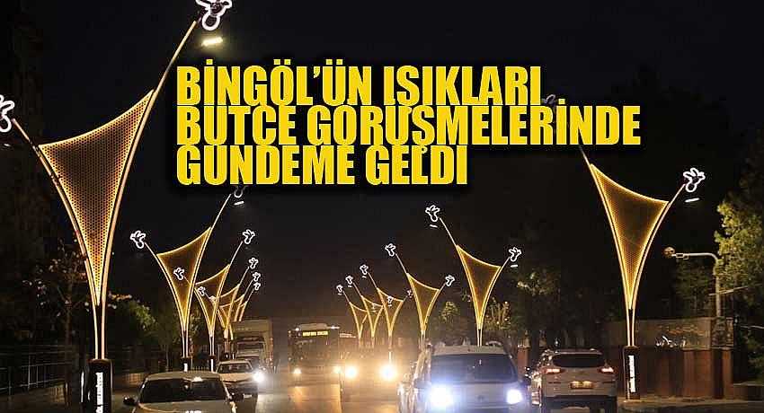 BİNGÖL’ÜN IŞIKLARI BÜTÇE GÖRÜŞMELERİNDE GÜNDEME GELDİ