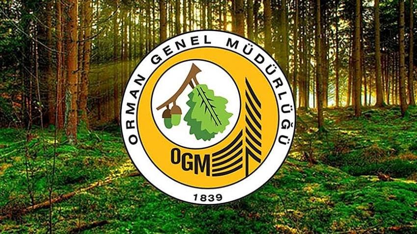 İşçi, Şoför ve Operatör Alınacak 