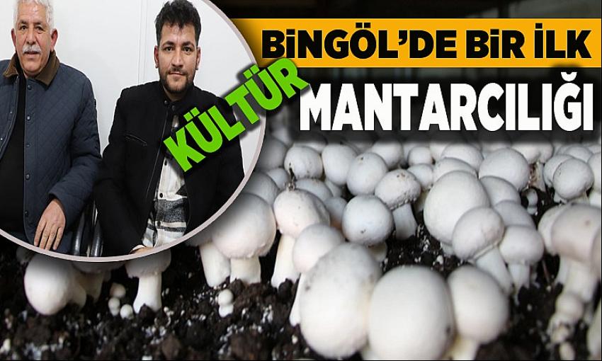 Kategori Haberleri