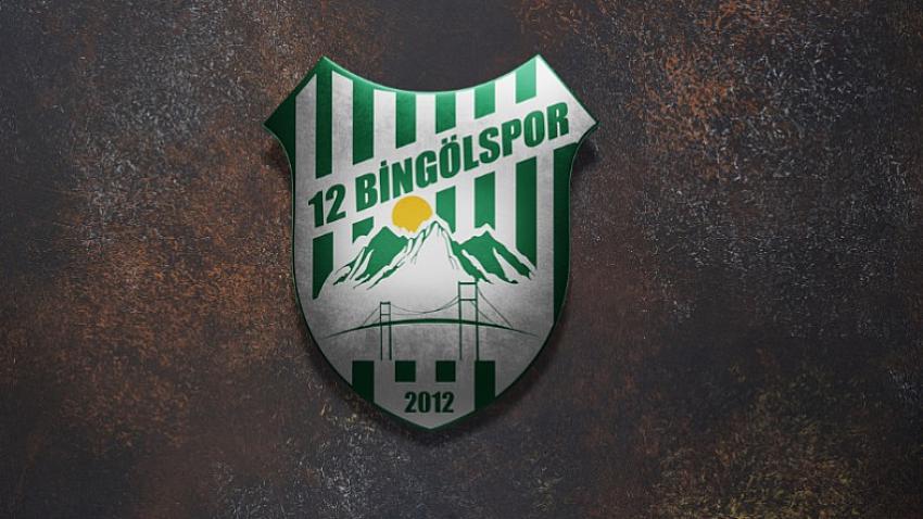 12Bingölspor