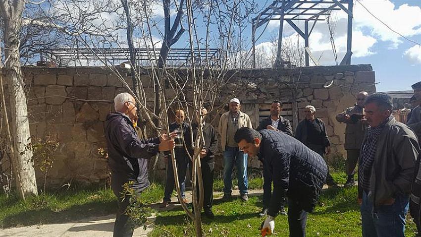 Ağaç Budama Kursu Açılacak