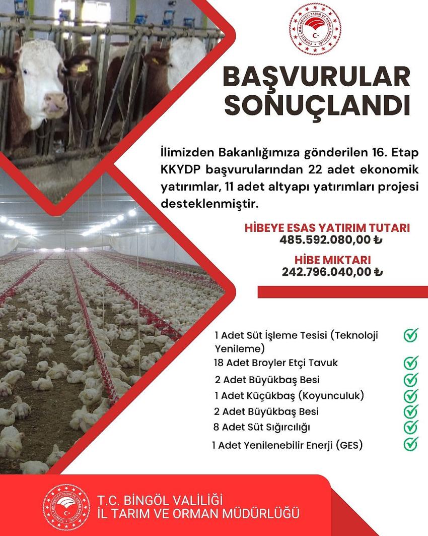 Kategori Haberleri