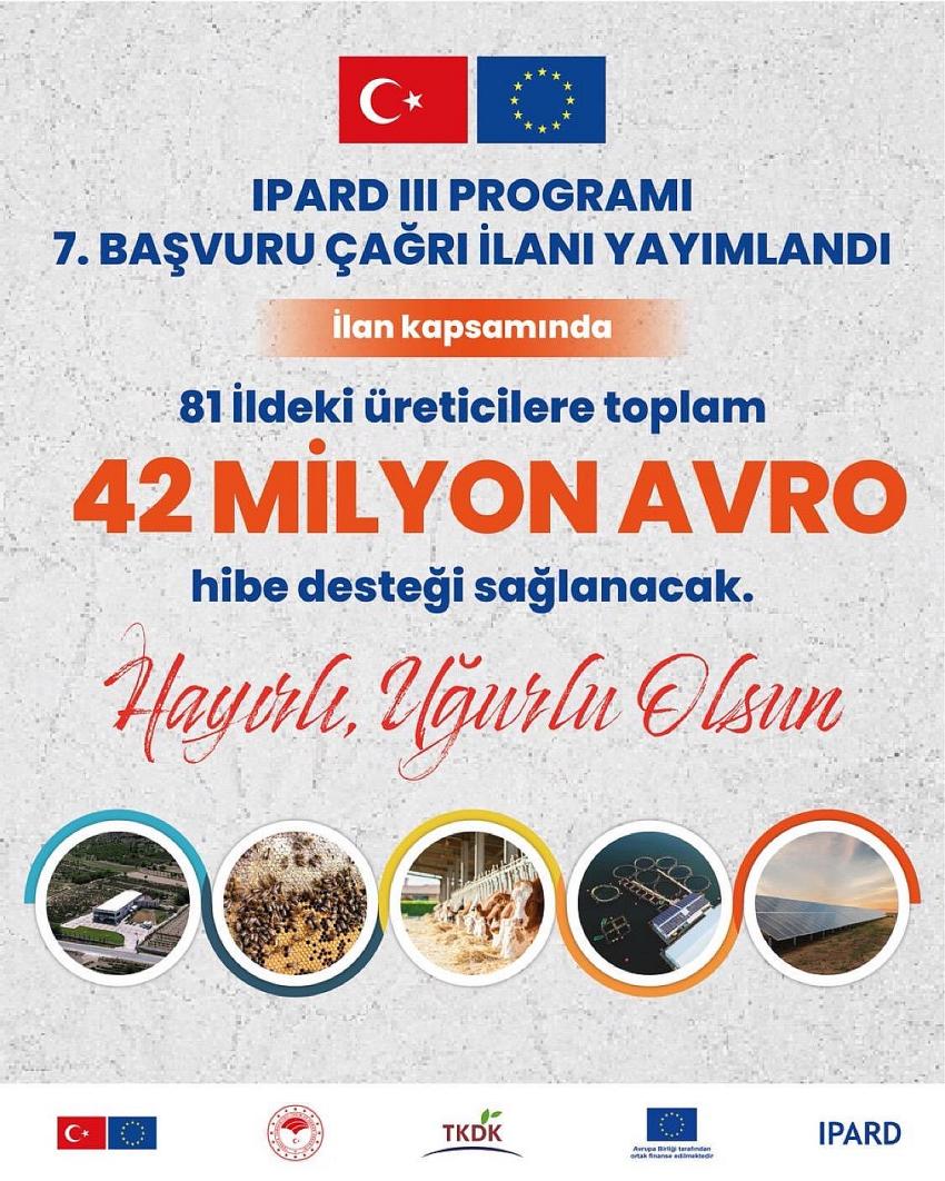 Kategori Haberleri