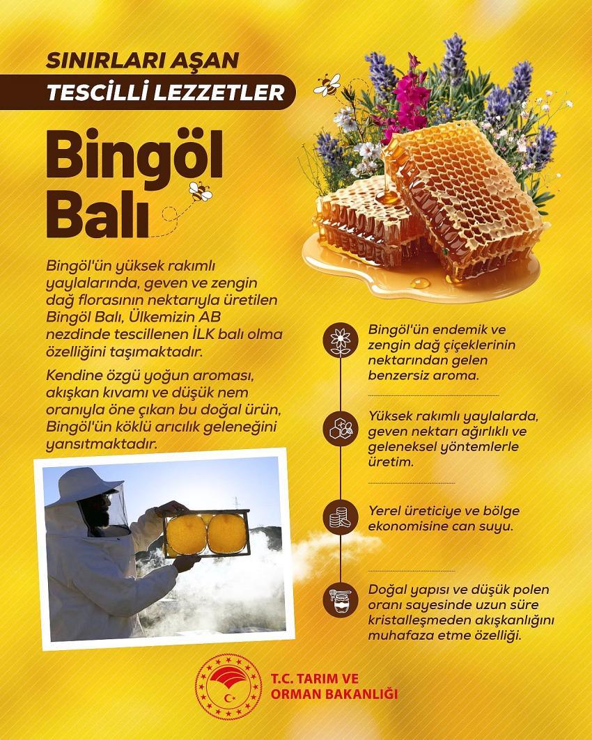 Kategori Haberleri