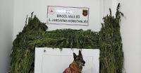Zehir Tacirlerine Darbe 91 Kilo Esrar Ele Geçirildi