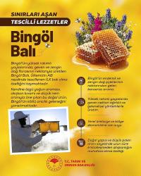 Sınırları Aşan Tescilli Lezzet: Bingöl Balı
