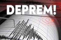 Genç'te Deprem