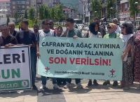 Orman Kesimine Tepki!