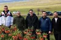 Karlıova’nın Eşsiz Güzellikleri: Ters Lale, Çatak Şelalesi…
