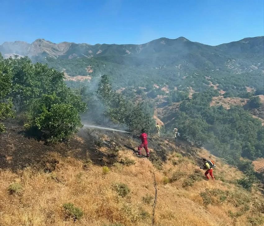 Trafodan Çıkan Kıvılcım Yangına Neden Oldu